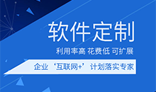 各行業(yè)軟件應用管理系統定制開(kāi)發(fā)