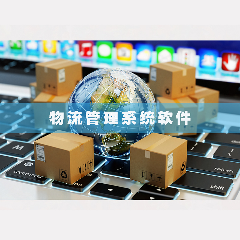 物流管理系統軟件現貨供應貨永久使用物追蹤平臺智能倉儲解決方案按需定制開(kāi)發(fā)設計